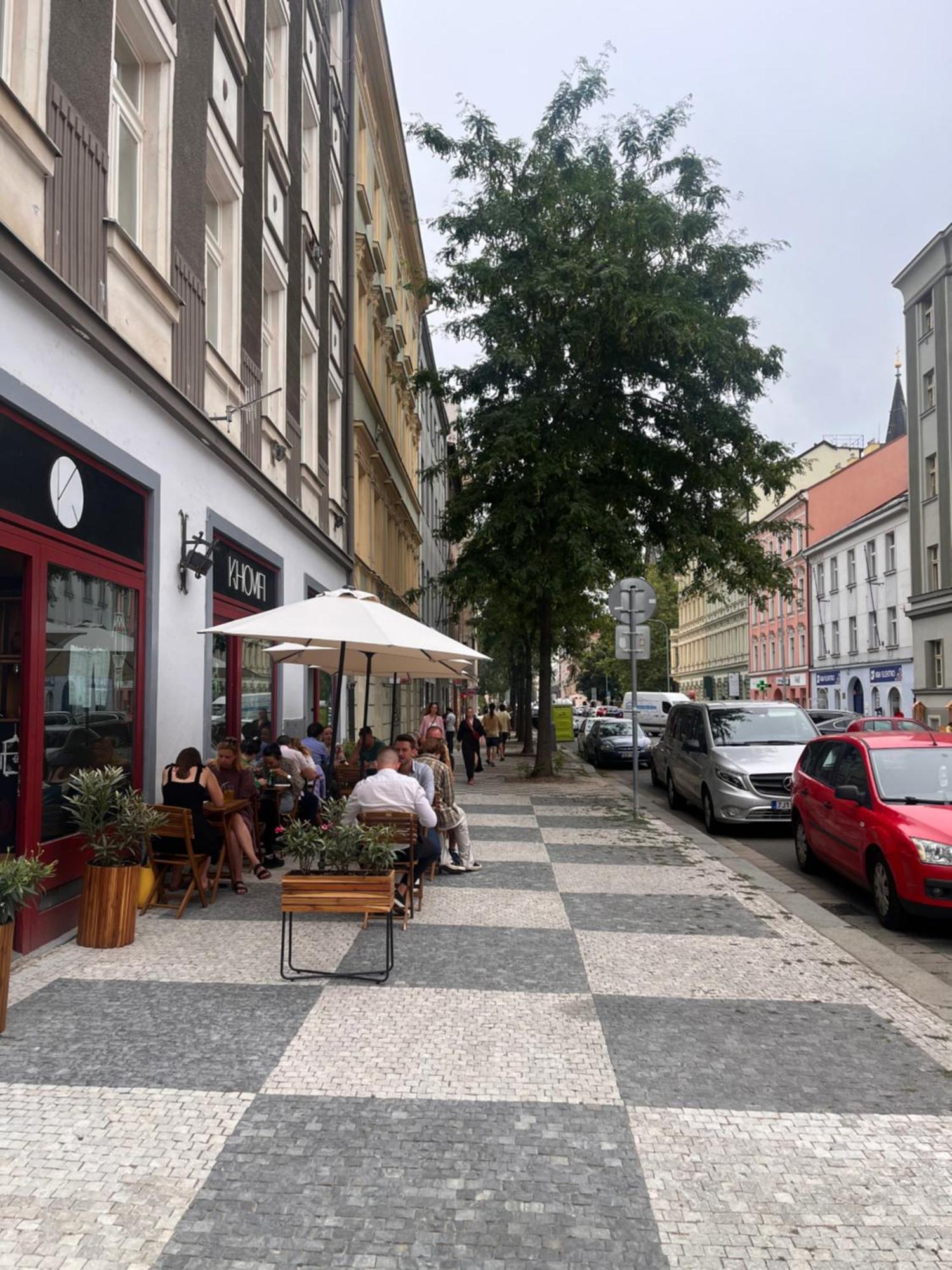 Karlin Apartman Praga